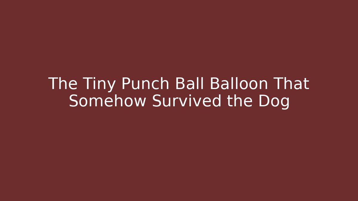 The Tiny Punch Ball Balloon That Somehow Survived the Dog