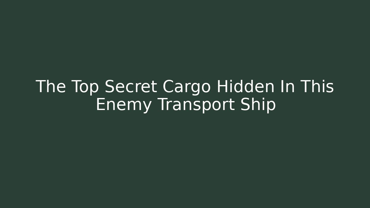 The Top Secret Cargo Hidden In This Enemy Transport Ship