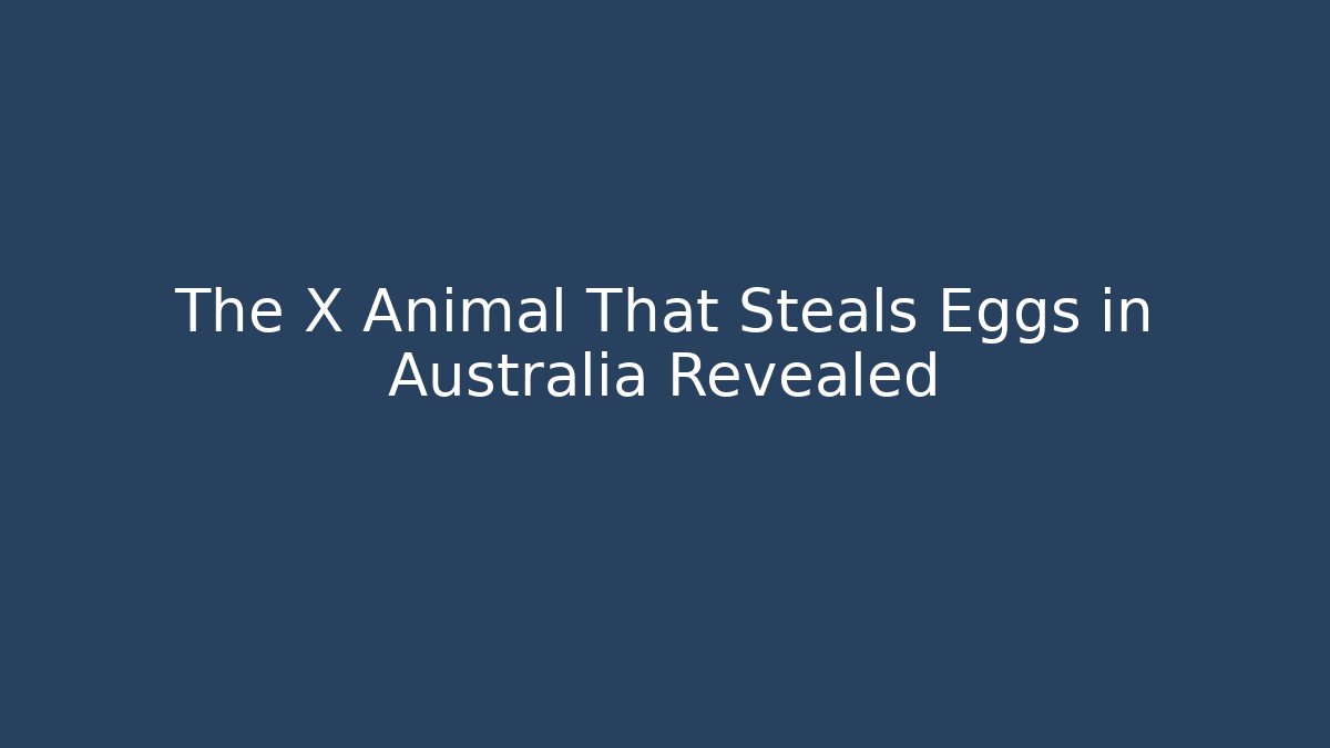 The X Animal That Steals Eggs in Australia Revealed