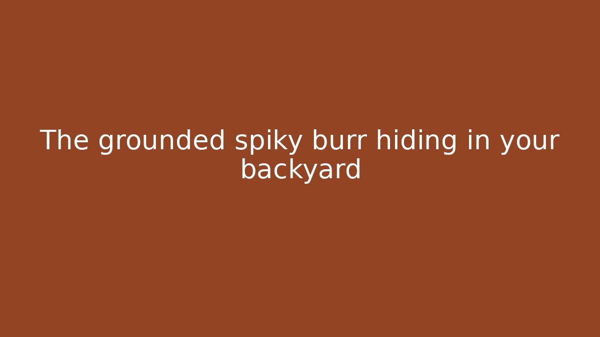 The grounded spiky burr hiding in your backyard
