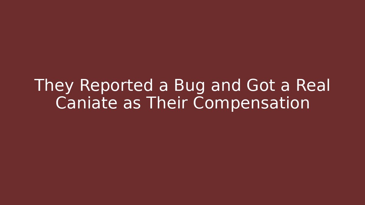 They Reported a Bug and Got a Real Caniate as Their Compensation