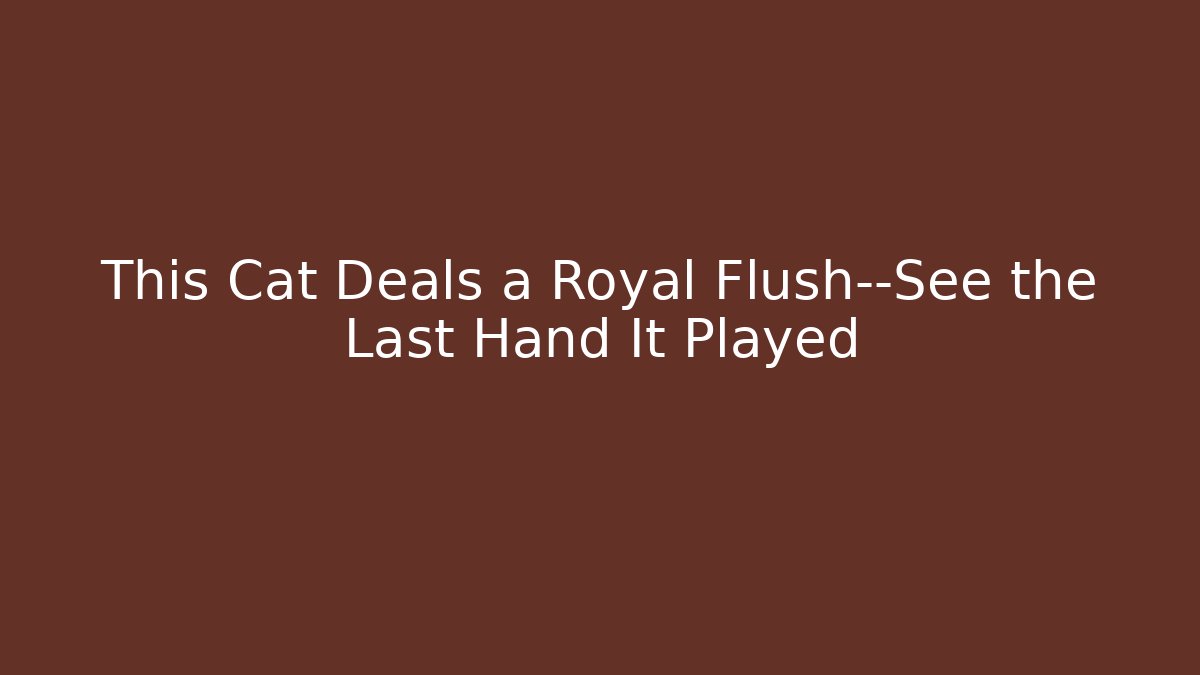 This Cat Deals a Royal Flush—See the Last Hand It Played