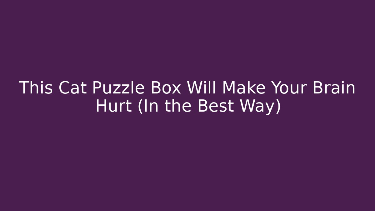 This Cat Puzzle Box Will Make Your Brain Hurt (In the Best Way)