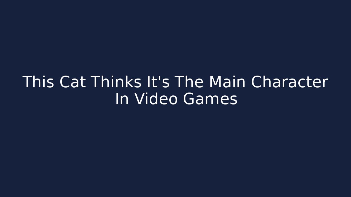 This Cat Thinks It's The Main Character In Video Games
