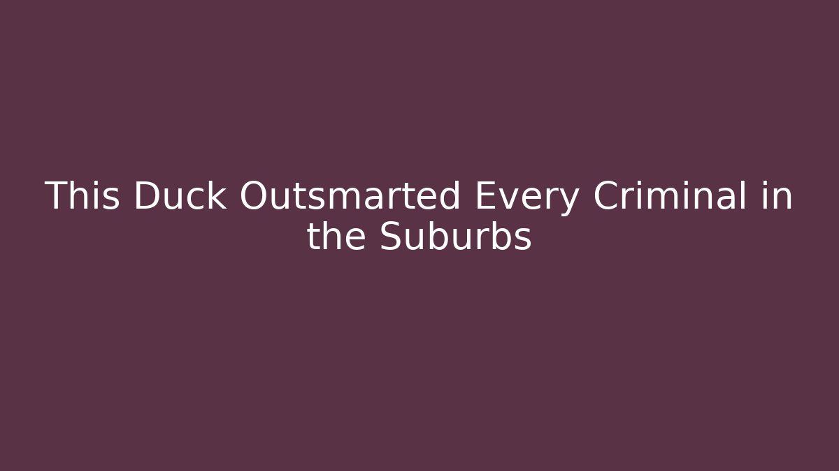This Duck Outsmarted Every Criminal in the Suburbs