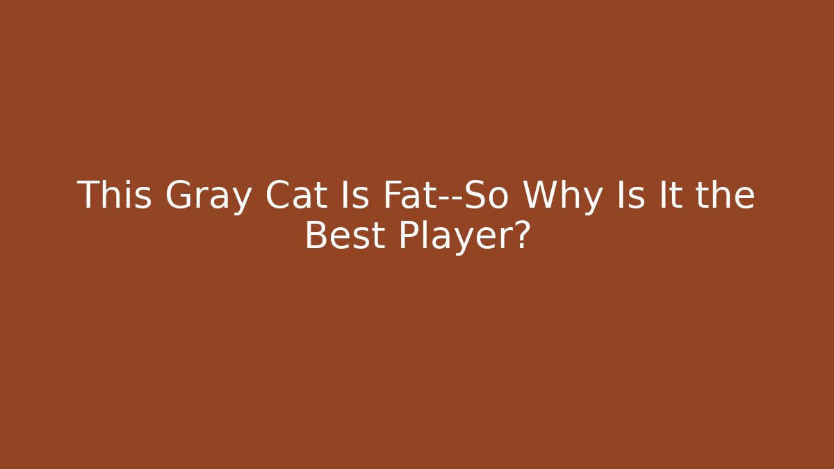 This Gray Cat Is Fat—So Why Is It the Best Player?