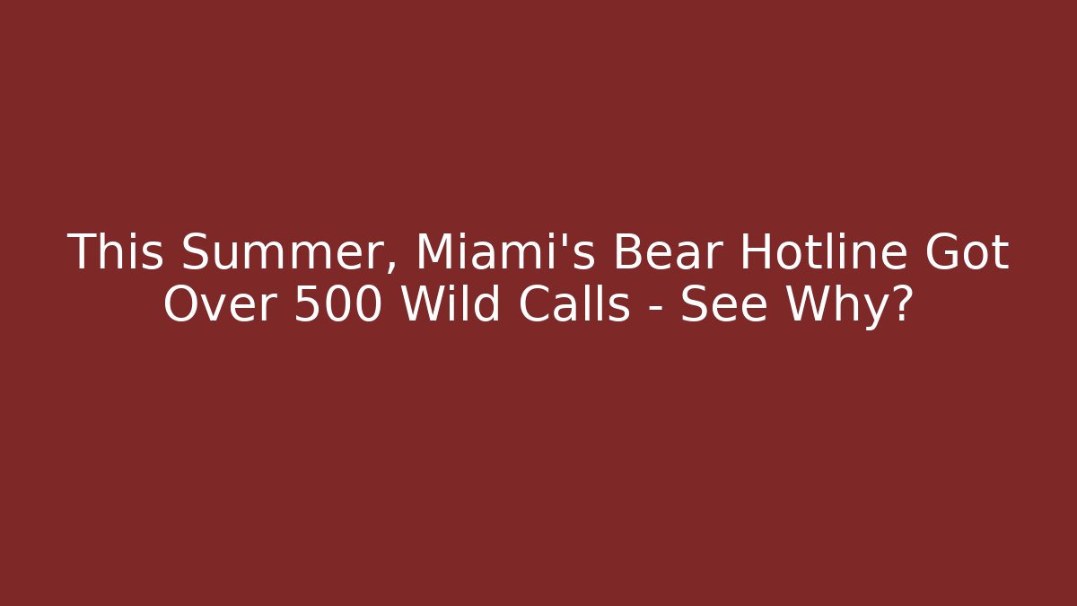 This Summer, Miami's Bear Hotline Got Over 500 Wild Calls – See Why? - Vintage E-Juice
