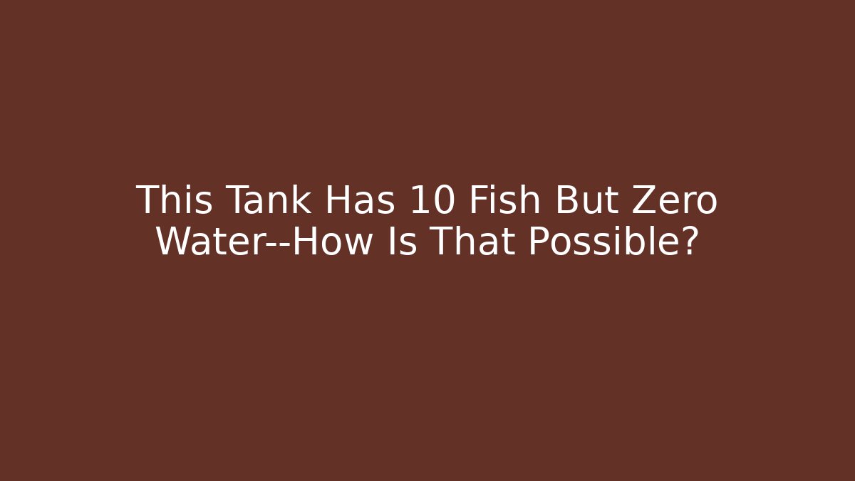 This Tank Has 10 Fish But Zero Water—How Is That Possible?