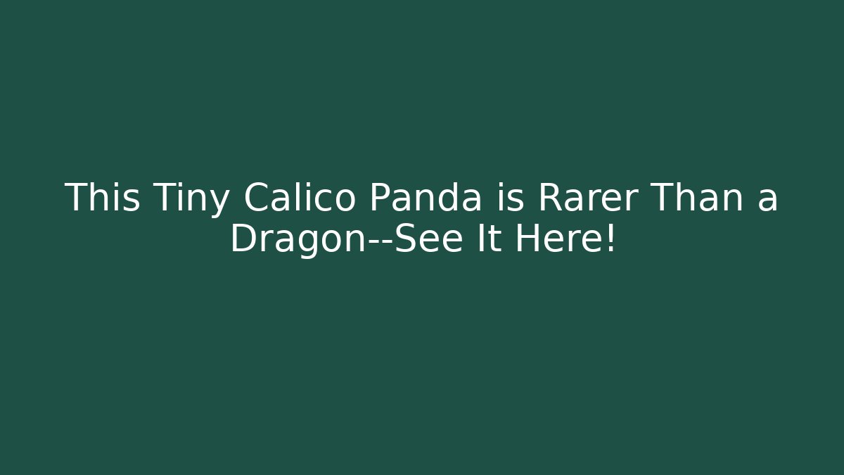 This Tiny Calico Panda is Rarer Than a Dragon—See It Here! - Vintage E-Juice