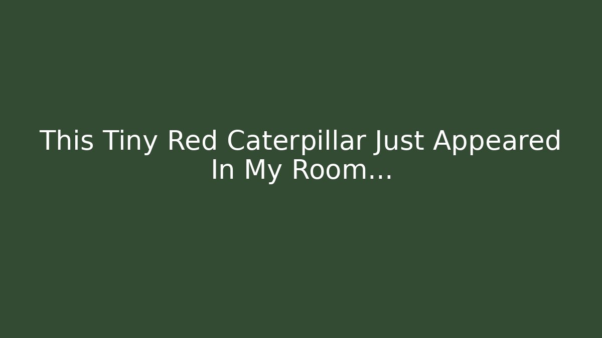 This Tiny Red Caterpillar Just Appeared In My Room…