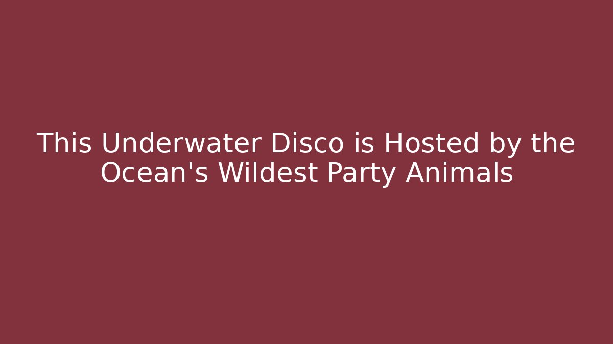 This Underwater Disco is Hosted by the Ocean’s Wildest Party Animals