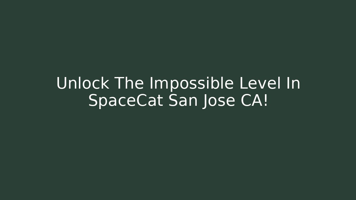 Unlock The Impossible Level In SpaceCat San Jose CA!