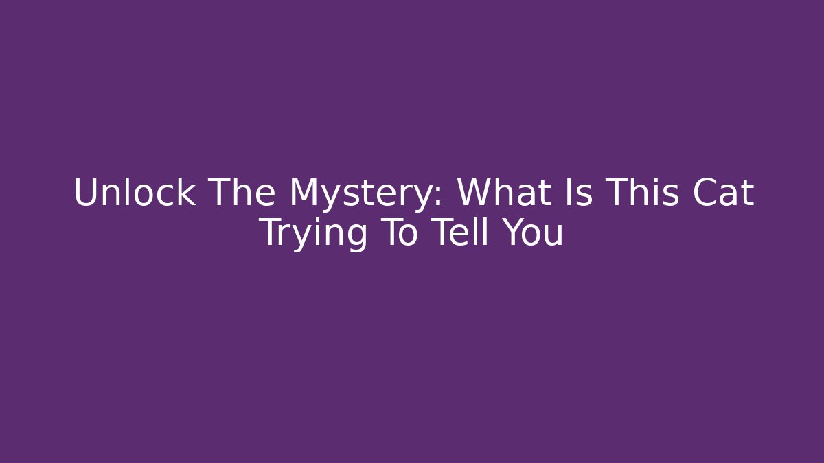 Unlock The Mystery: What Is This Cat Trying To Tell You