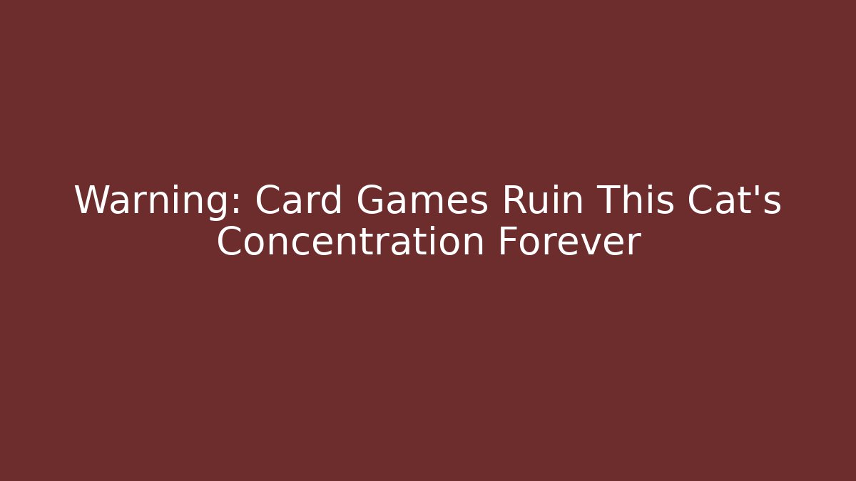 Warning: Card Games Ruin This Cat’s Concentration Forever