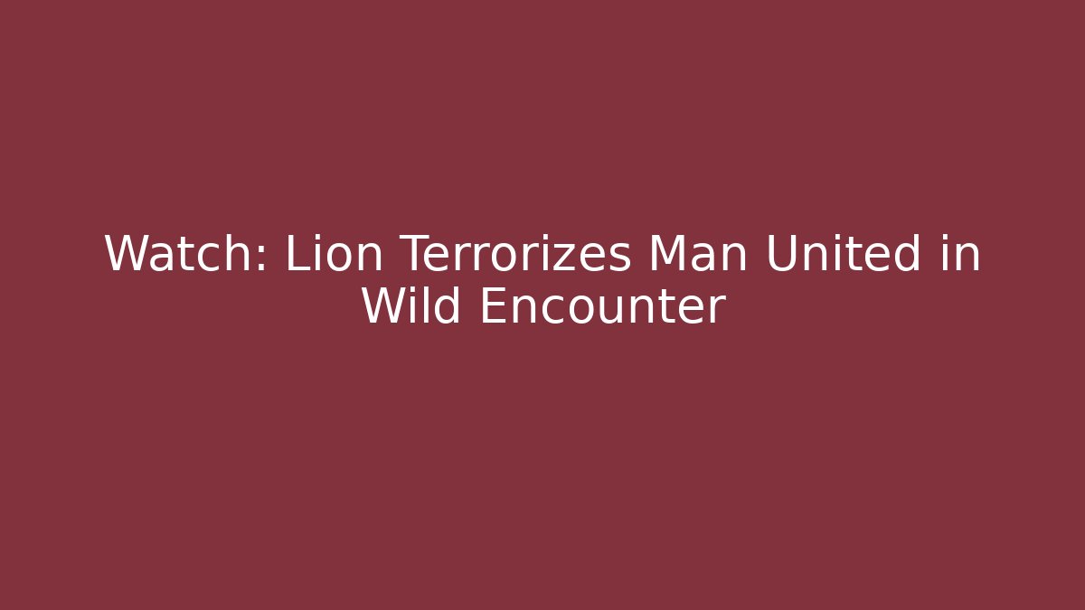 Watch: Lion Terrorizes Man United in Wild Encounter