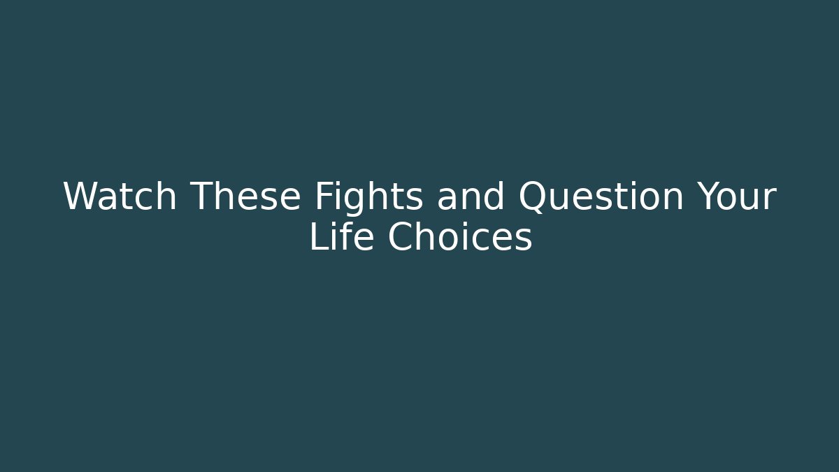 Watch These Fights and Question Your Life Choices