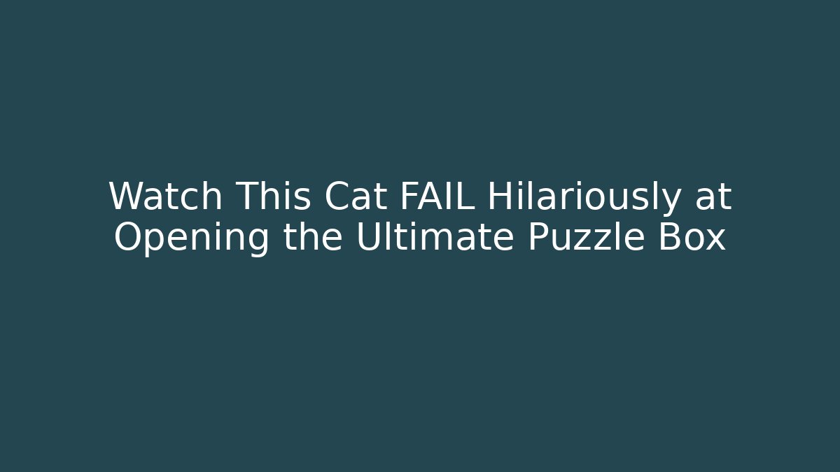 Watch This Cat FAIL Hilariously at Opening the Ultimate Puzzle Box