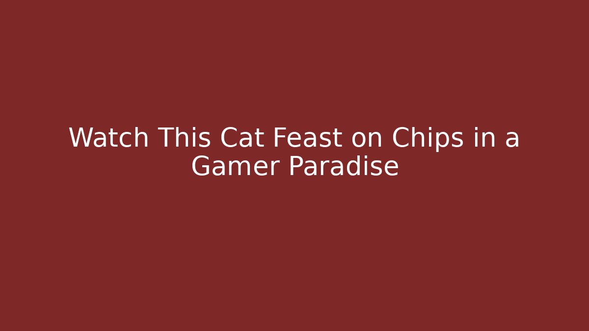Watch This Cat Feast on Chips in a Gamer Paradise