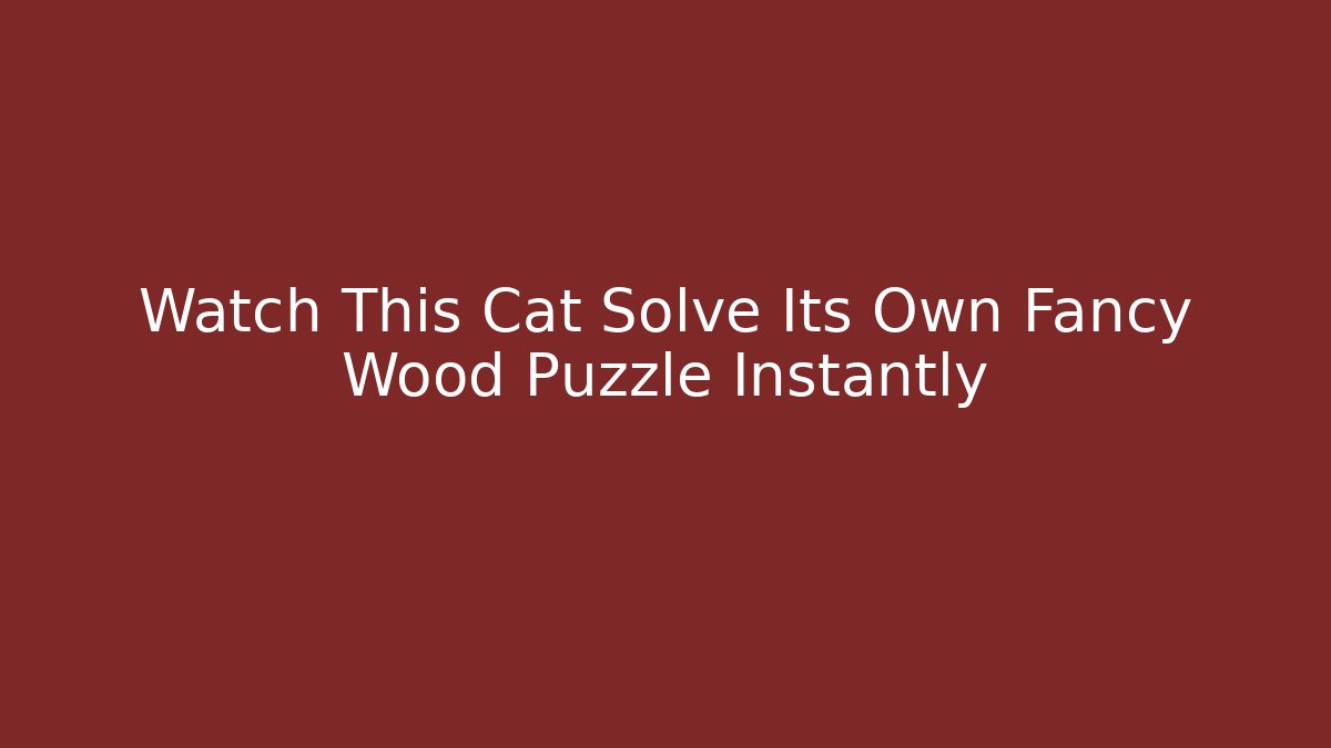 Watch This Cat Solve Its Own Fancy Wood Puzzle Instantly