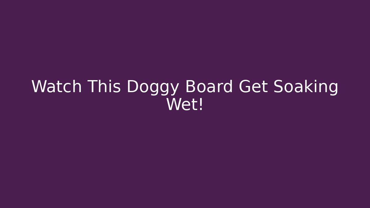 Watch This Doggy Board Get Soaking Wet!