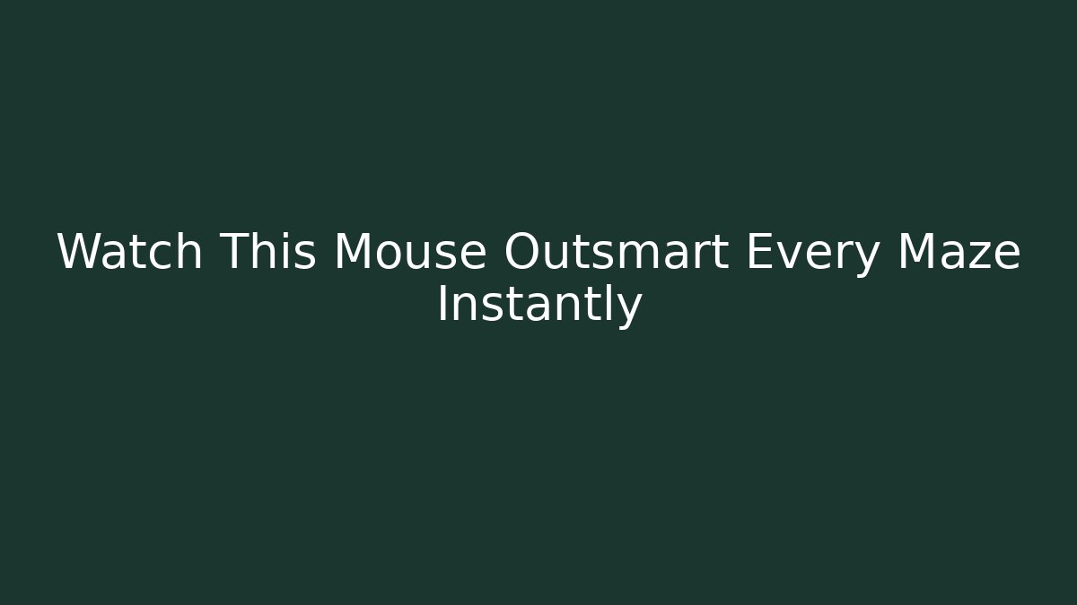 Watch This Mouse Outsmart Every Maze Instantly