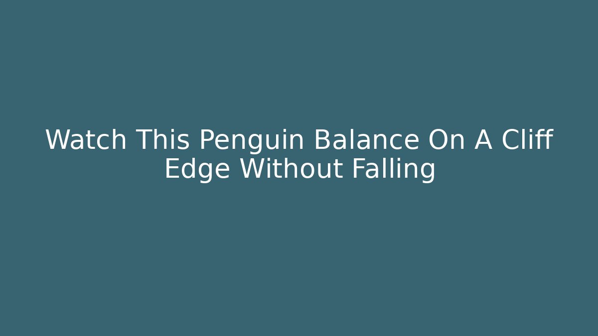 Watch This Penguin Balance On A Cliff Edge Without Falling