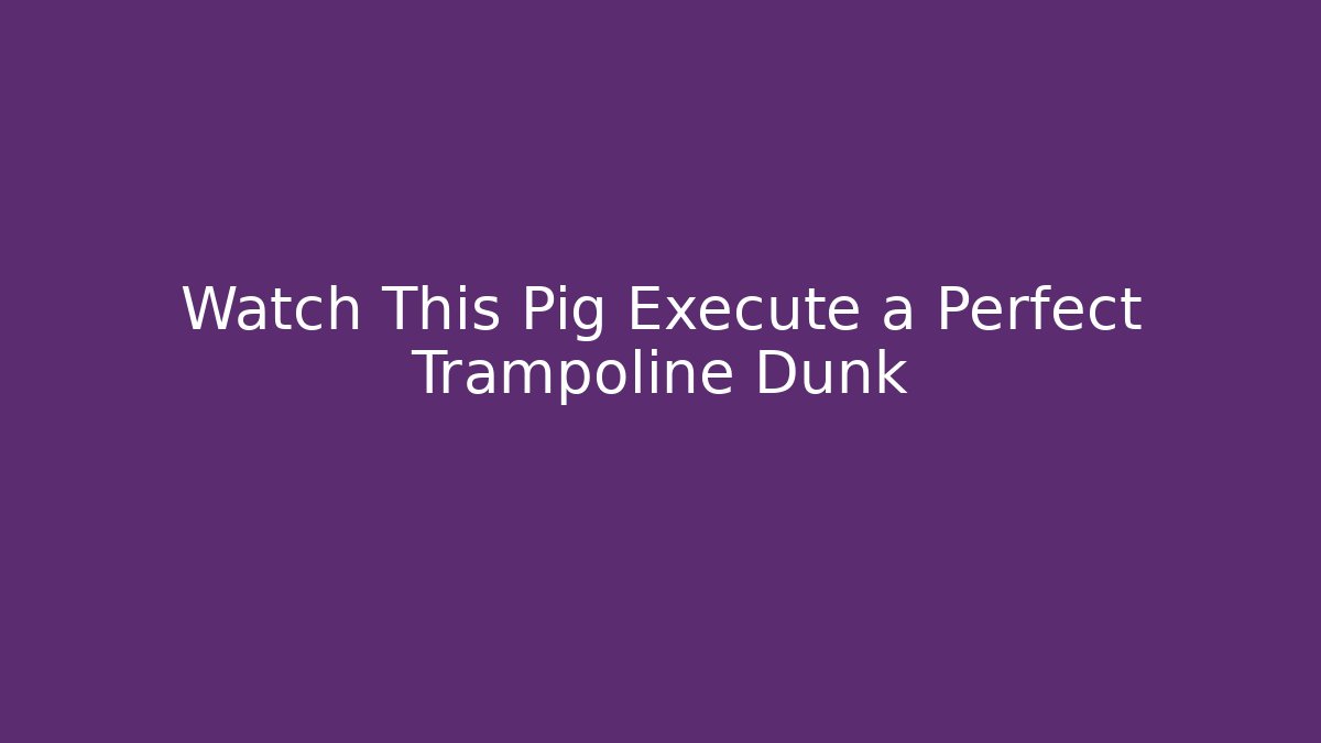 Watch This Pig Execute a Perfect Trampoline Dunk - Vintage E-Juice