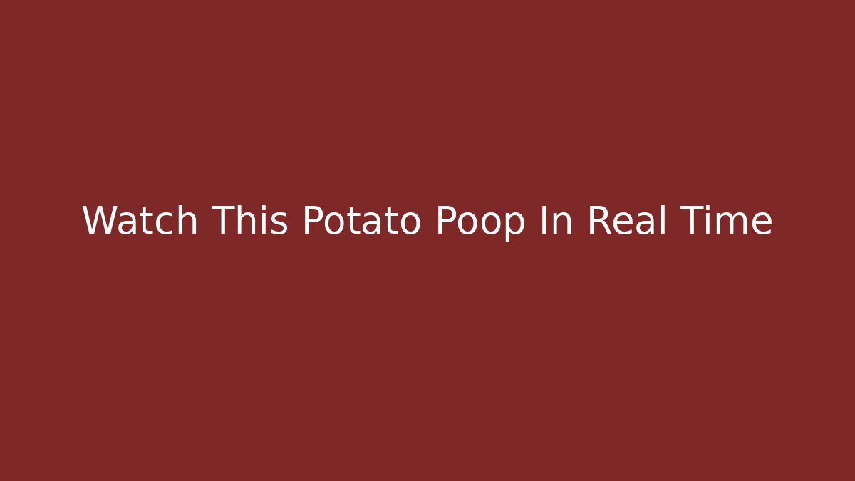 Watch This Potato Poop In Real Time