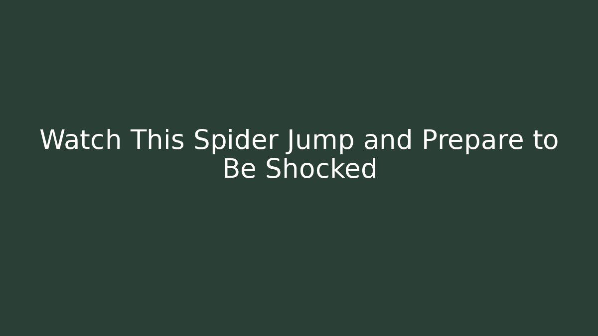 Watch This Spider Jump and Prepare to Be Shocked