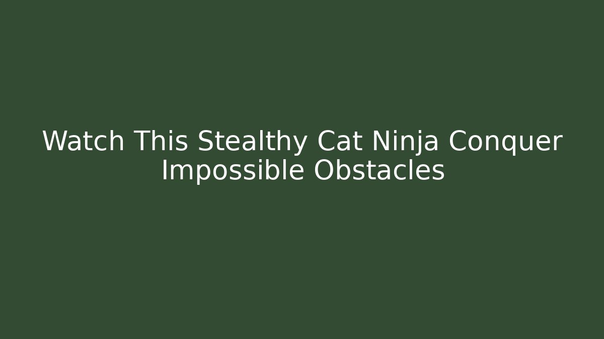 Watch This Stealthy Cat Ninja Conquer Impossible Obstacles