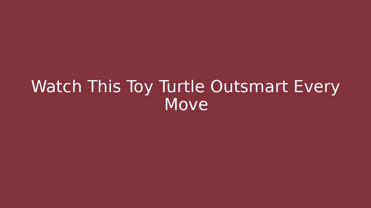 Watch This Toy Turtle Outsmart Every Move