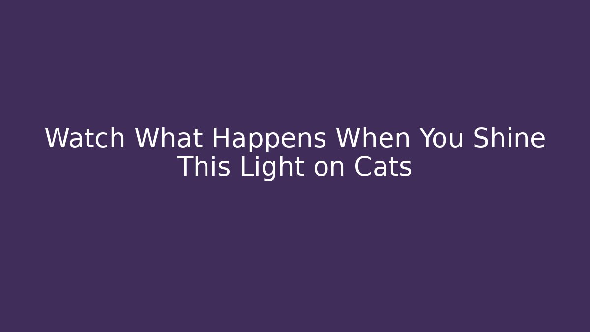 Watch What Happens When You Shine This Light on Cats