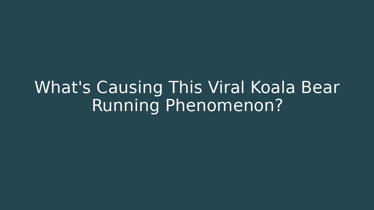What's Causing This Viral Koala Bear Running Phenomenon?