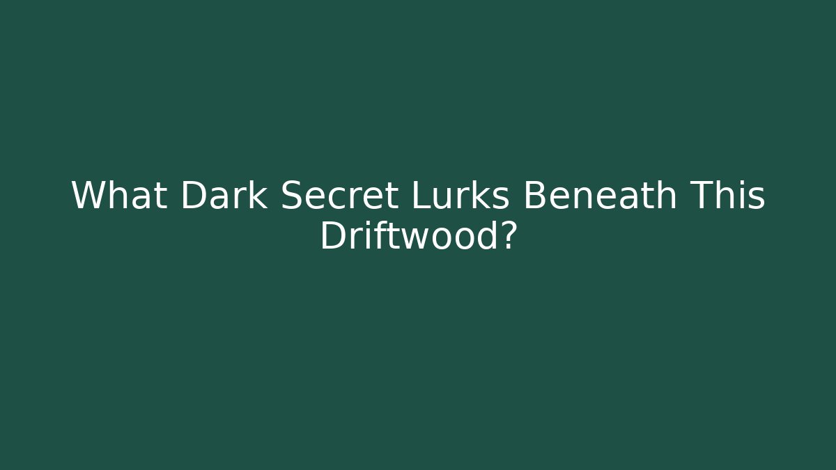 What Dark Secret Lurks Beneath This Driftwood?