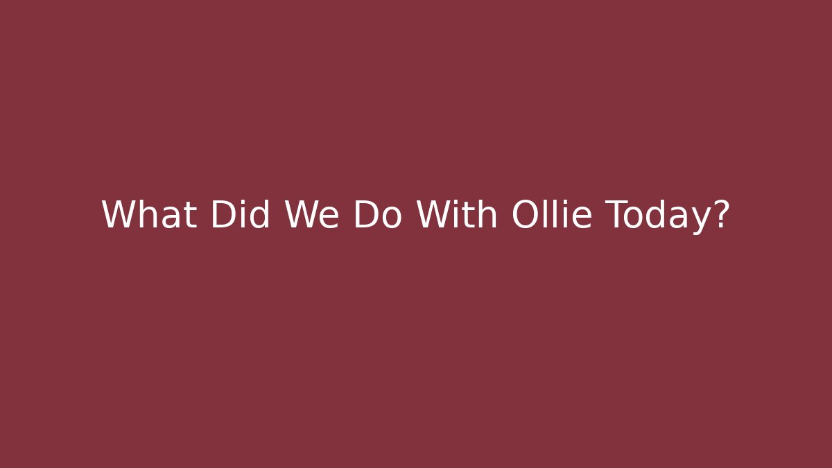 What Did We Do With Ollie Today? - Vintage E-Juice