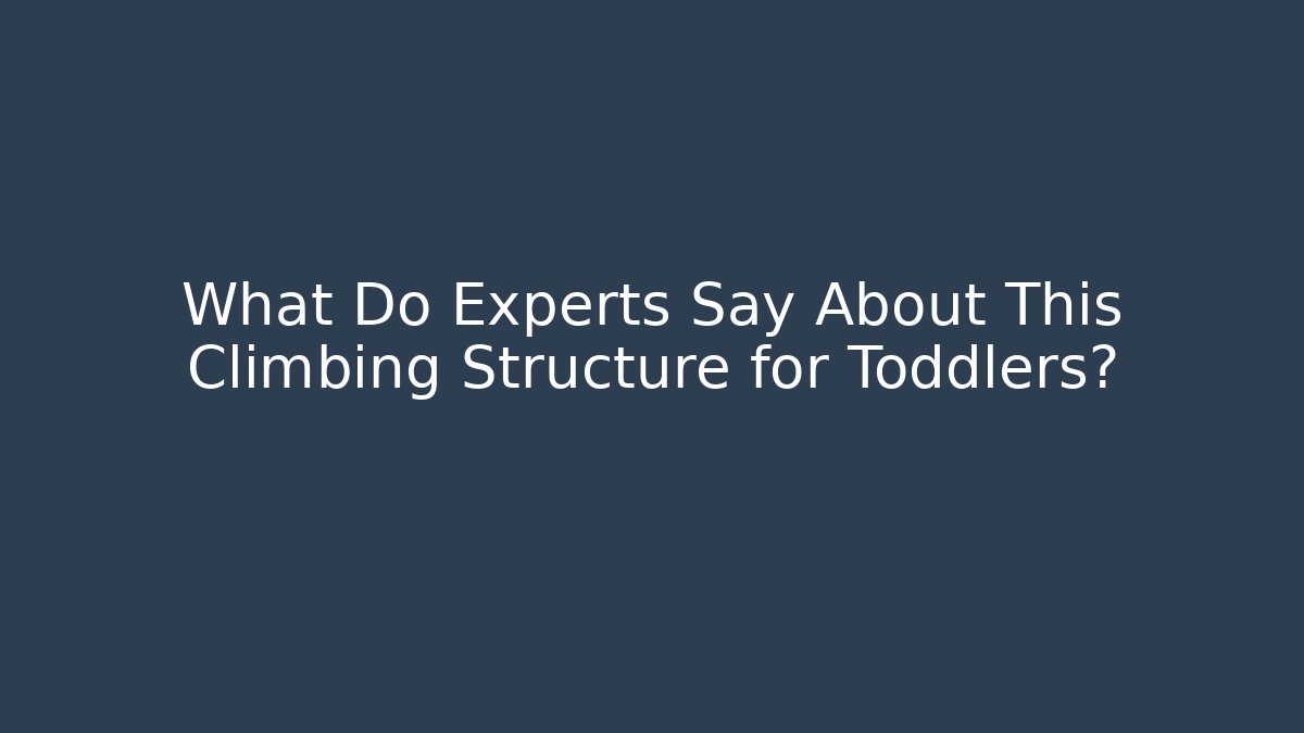 What Do Experts Say About This Climbing Structure for Toddlers?