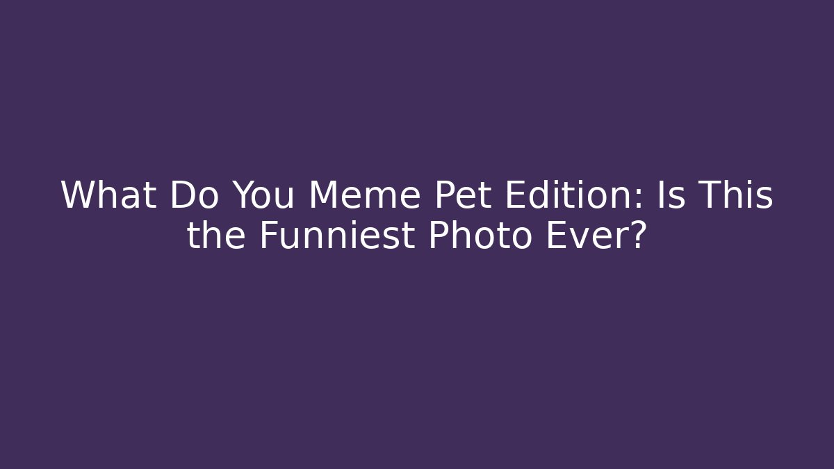 What Do You Meme Pet Edition: Is This the Funniest Photo Ever?