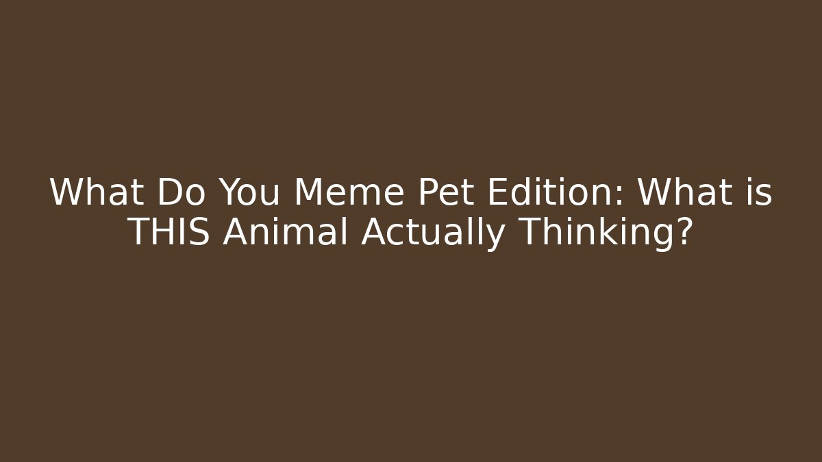 What Do You Meme Pet Edition: What is THIS Animal Actually Thinking?