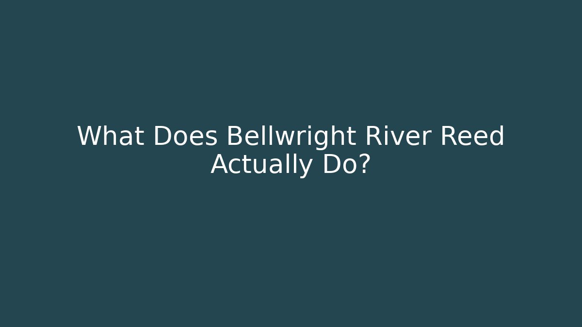 What Does Bellwright River Reed Actually Do?