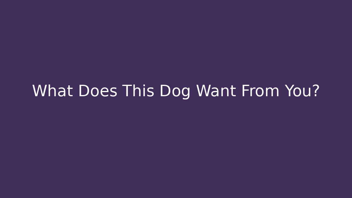 What Does This Dog Want From You? - Vintage E-Juice