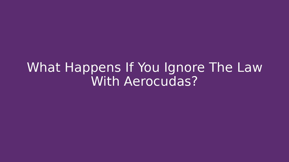 What Happens If You Ignore The Law With Aerocudas?