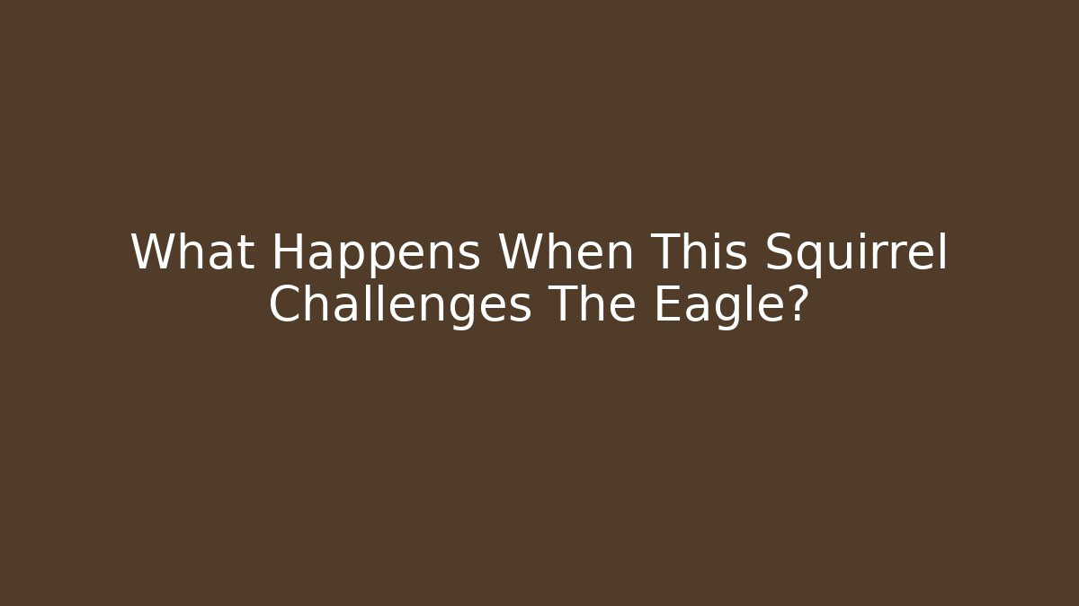 What Happens When This Squirrel Challenges The Eagle? - Vintage E-Juice