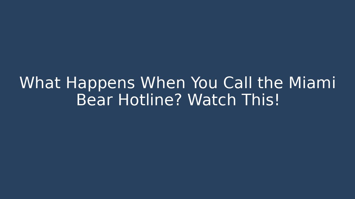 What Happens When You Call the Miami Bear Hotline? Watch This!