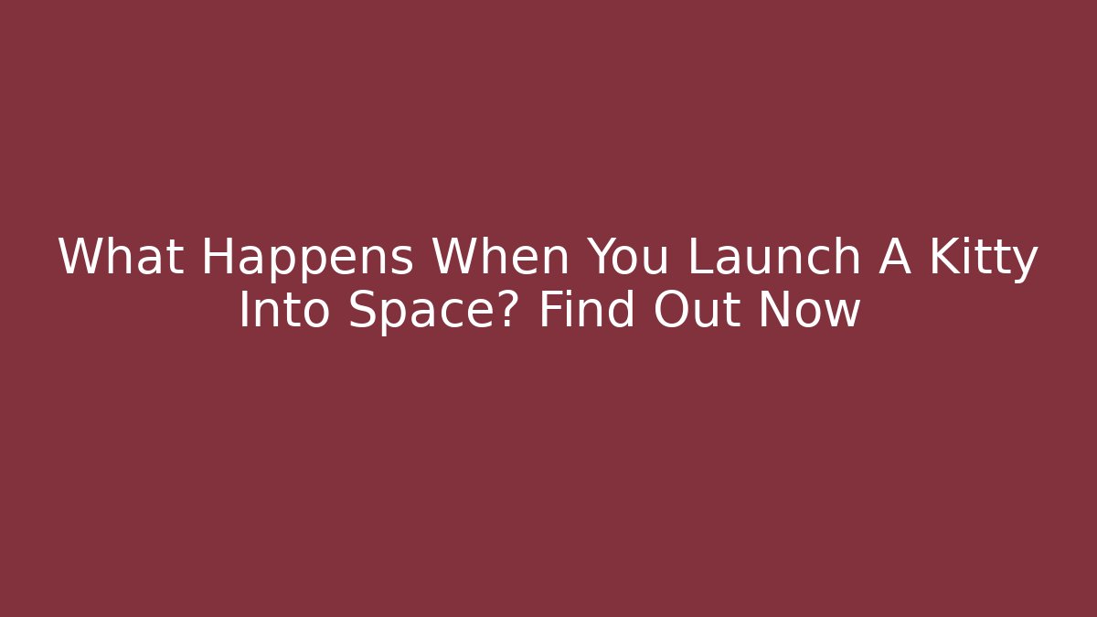 What Happens When You Launch A Kitty Into Space? Find Out Now