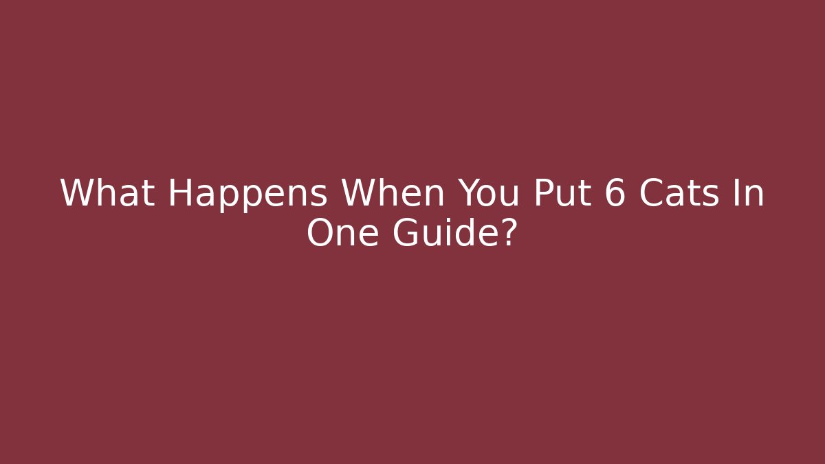 What Happens When You Put 6 Cats In One Guide?