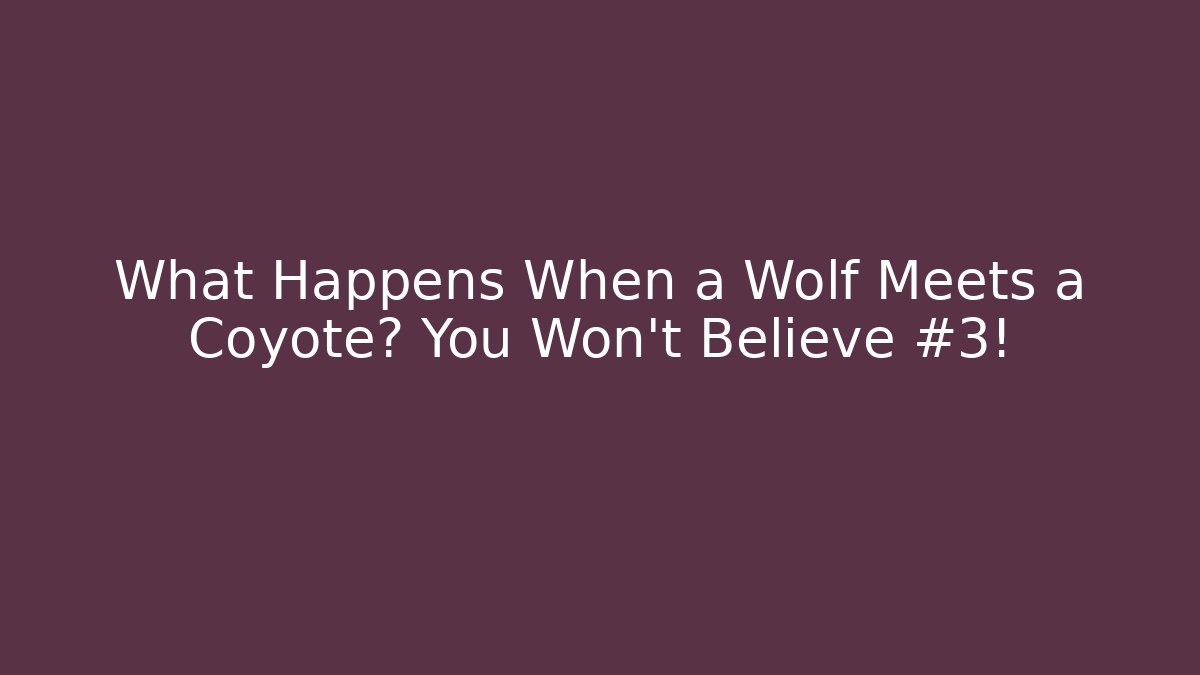 What Happens When a Wolf Meets a Coyote? You Won't Believe #3!