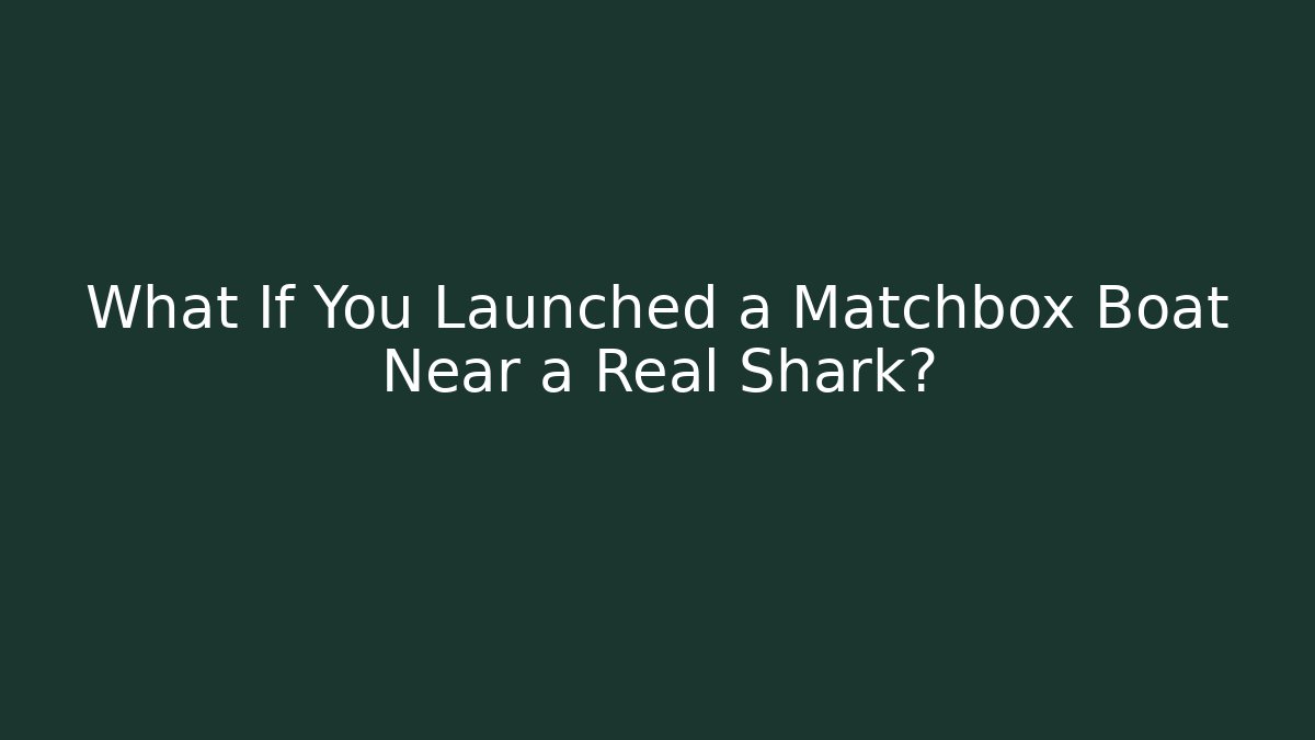 What If You Launched a Matchbox Boat Near a Real Shark?