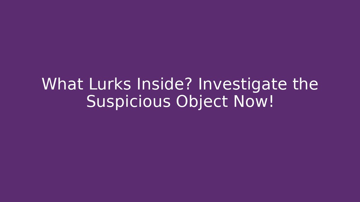 What Lurks Inside? Investigate the Suspicious Object Now!