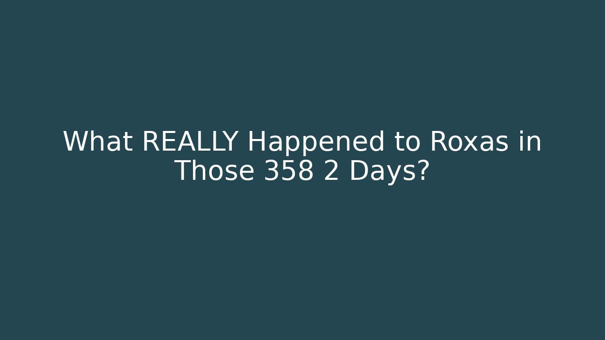 What REALLY Happened to Roxas in Those 358 2 Days?