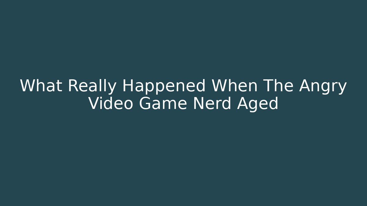 What Really Happened When The Angry Video Game Nerd Aged
